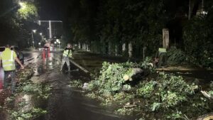 В Ростове-на-Дону ввели режим ЧС из-за непогоды