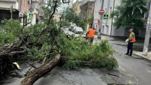 Число пострадавших от непогоды в Ростове-на-Дону выросло до 28