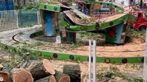 В Ростове-на-Дону после непогоды зафиксировали повреждения у 30 соцобъектов